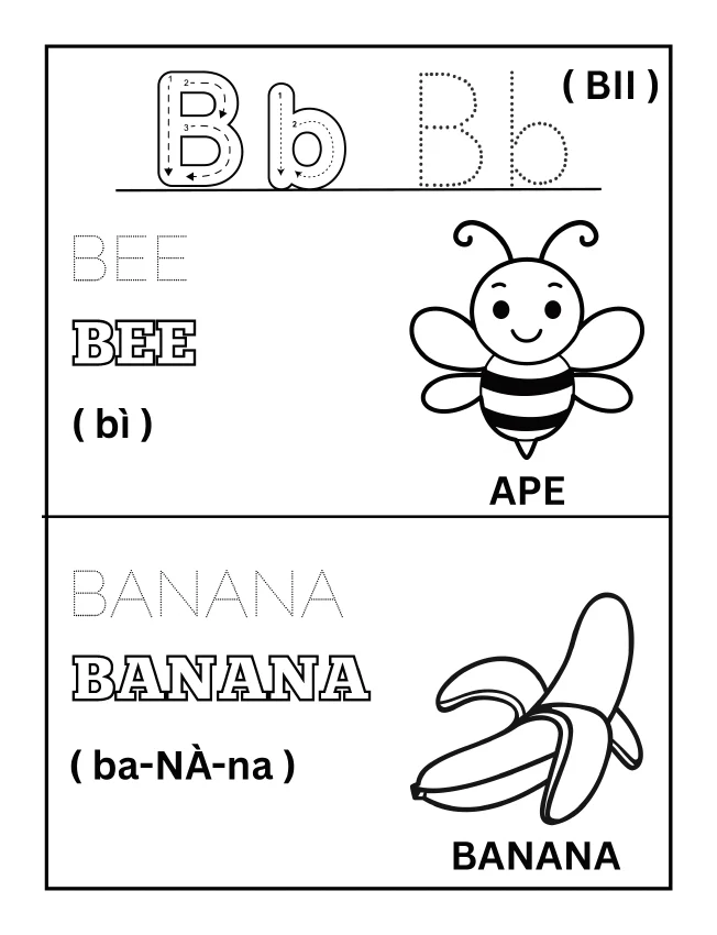 Pagina del libro d’inglese: lettera B, bee e banana